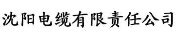 三国之逆天玩家电缆厂logo